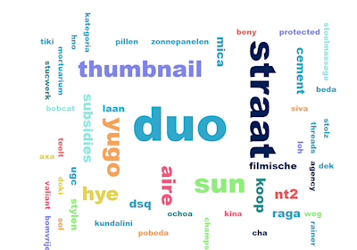 Word cloud of significant terms appearing in newly registered .nl domain names in July 2023, in which the term 'duo' stands out.