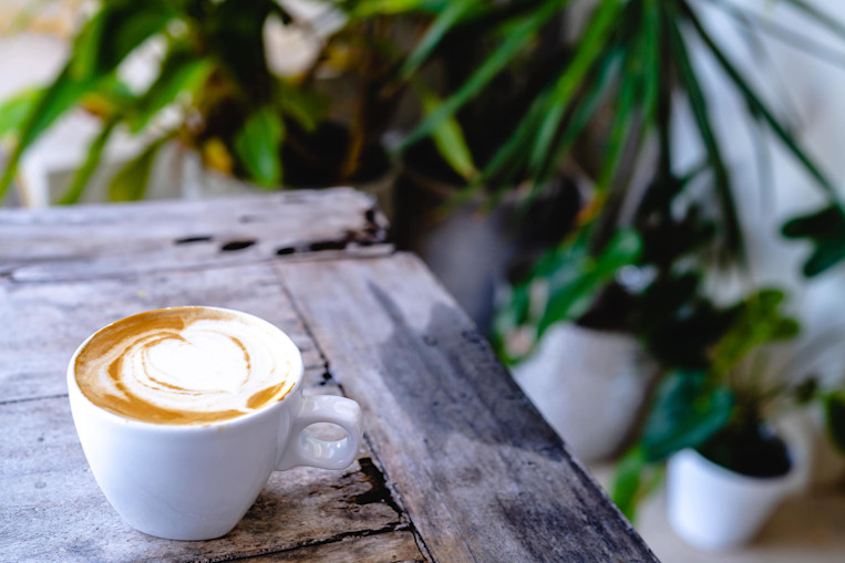 coffee-oat-cashew-milk-table-plants.jpg