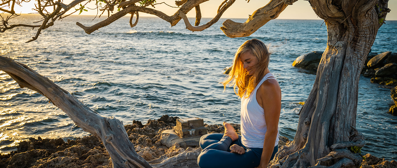 CoralBrown-hero5-lotus-sittingintree-aruba-arashibeach