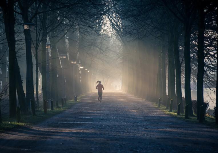 running-person-trees-road-path-shadows.jpg