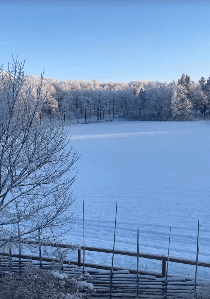 Screenshot 2023-12-06 at 2.20.24 PM-min