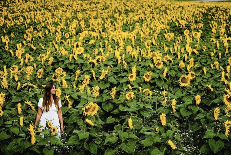 Yoga-Girl-Podcast-Rachel-Life-Death-Gratitude-Sunflower-Image