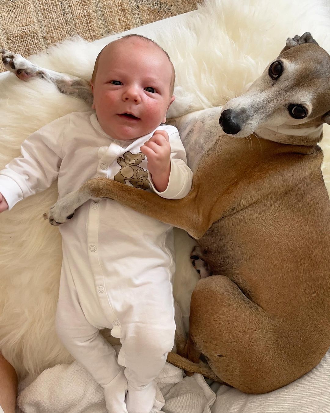 356202101 18382311571049471 4882576389358889242 n-min