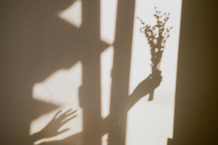 silhouette-shadows-bouquet-hand.jpg