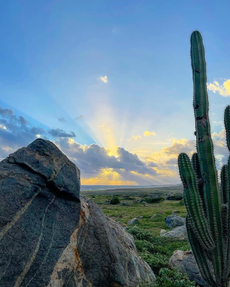 sunrise-rocks-cactus-ocean-clouds.jpg