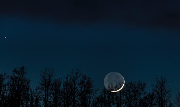 new-moon-crescent-trees-night-sky.jpg