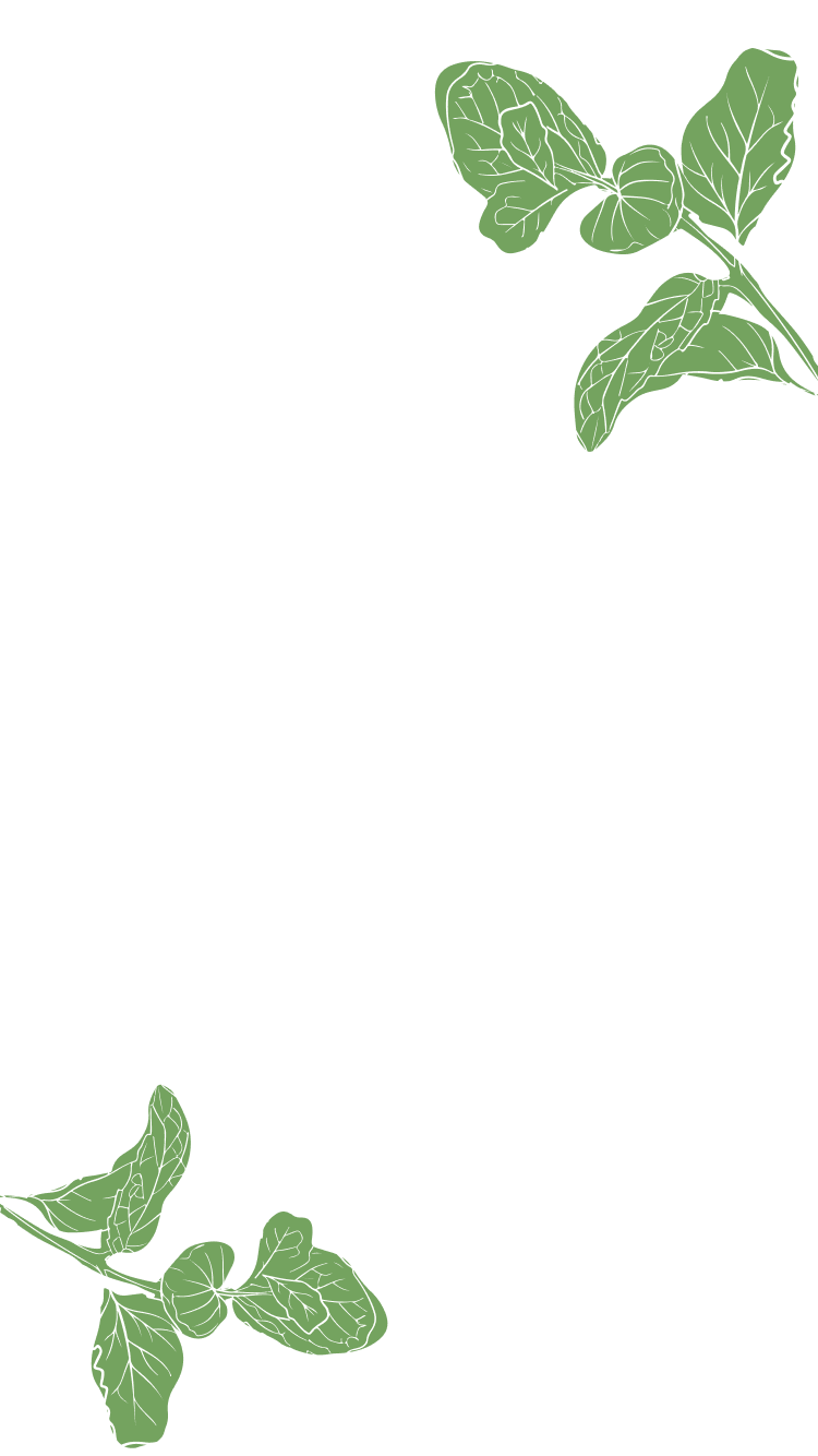 High Quality - Mobile 2.png