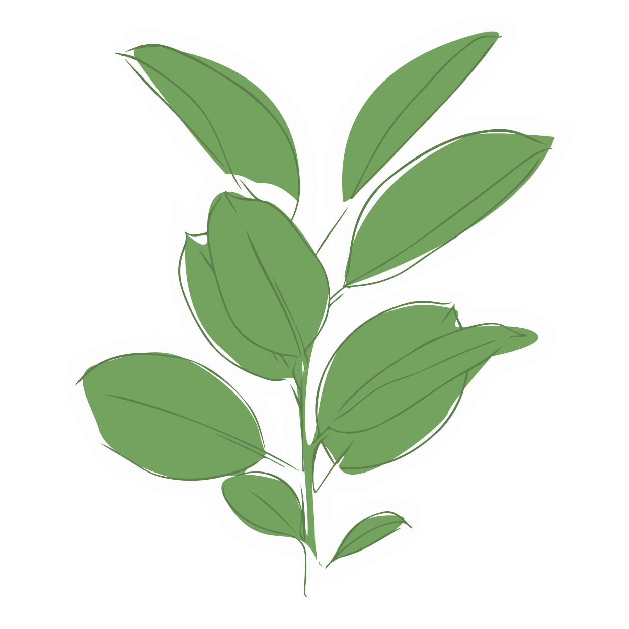leaf.png