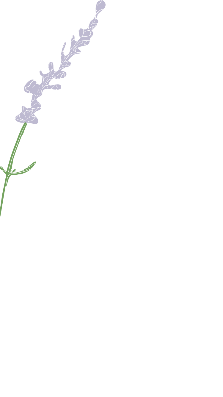 High Quality - Mobile 1.png