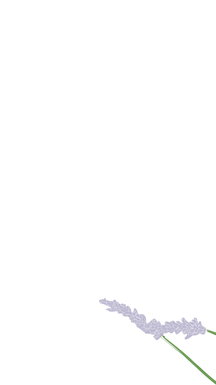 High Quality - Mobile 3.png