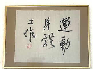 Bewegungs- und Kampfkunst - weiteres Bild