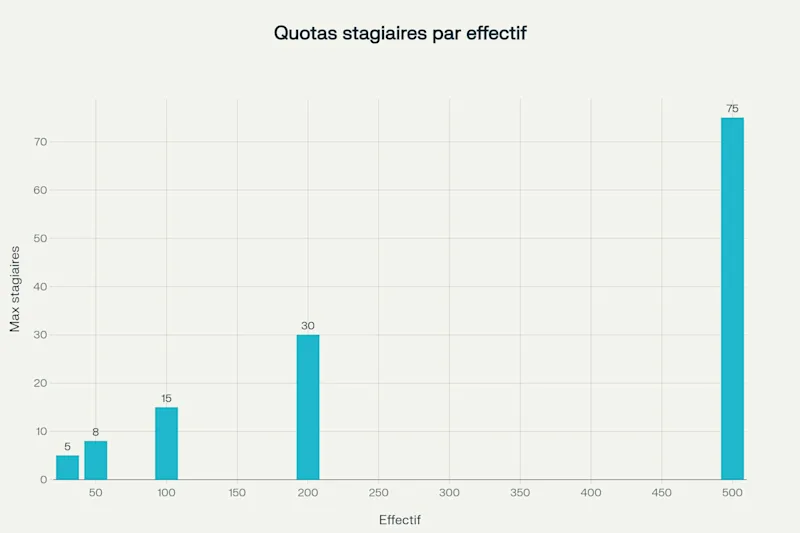 Quotas de stagiaires par effectif