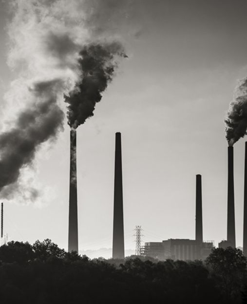 SOURCES OF CLIMATE DISINFORMATION (II/III)