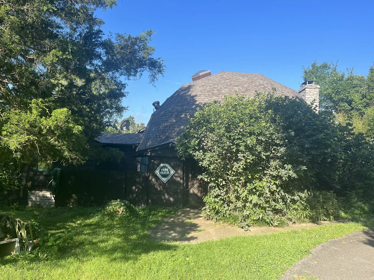 Exterior of the geodesic dome home surrounded by lush green trees under a clear blue sky, with a path leading to the entrance.