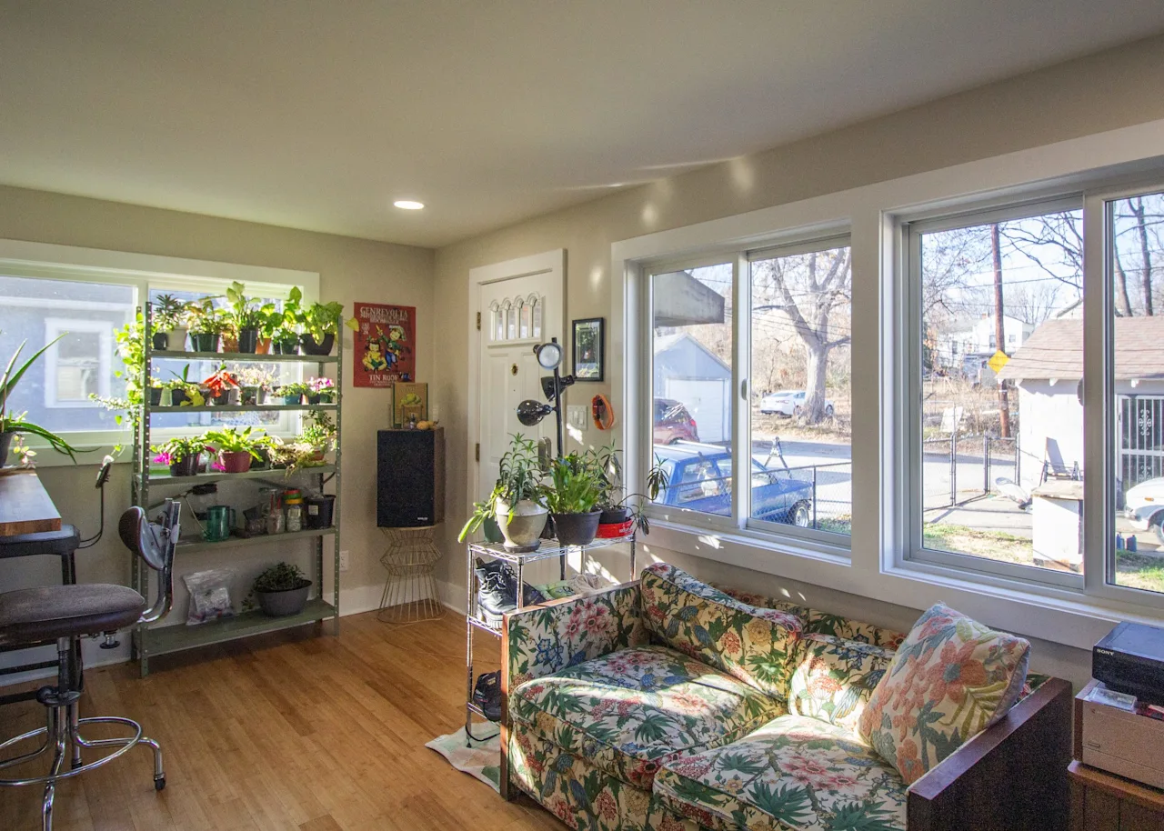 Cozy living-room corner with a botanical-print sofa, a plant shelf, and windows overlooking the street.