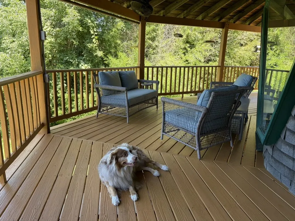 Covered deck with wicker patio furniture and an Australian shepherd dog lying on the wood decking, overlooking the woods.