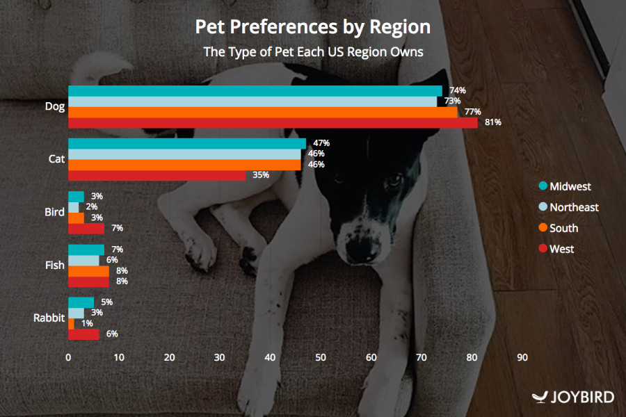 what percentage of americans own a pet