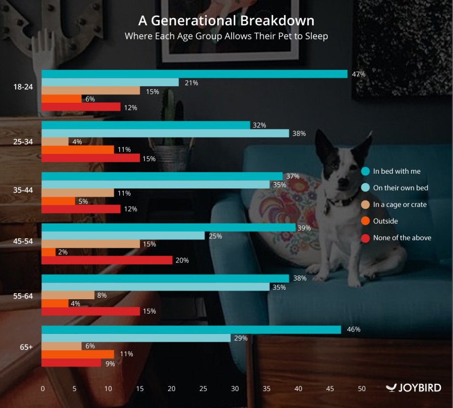 what percentage of americans own a pet