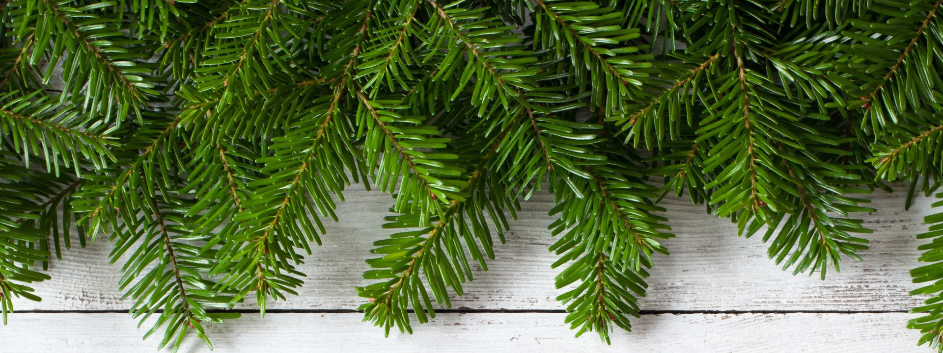 Holiday Decor Preferences For 2018 Joybird