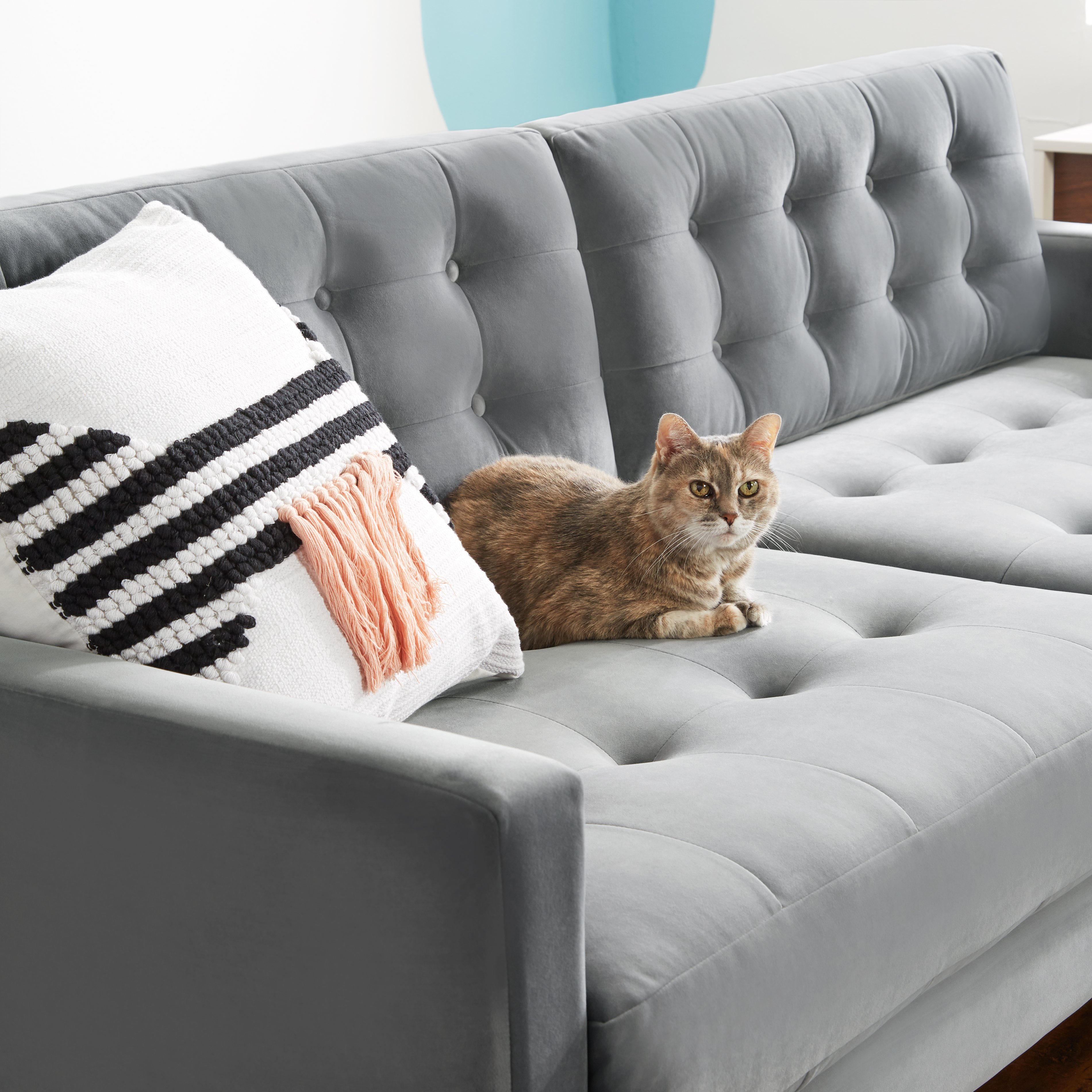 Leather Vs Fabric Sofa Which Couch Is, Is A Leather Couch Good For Cats