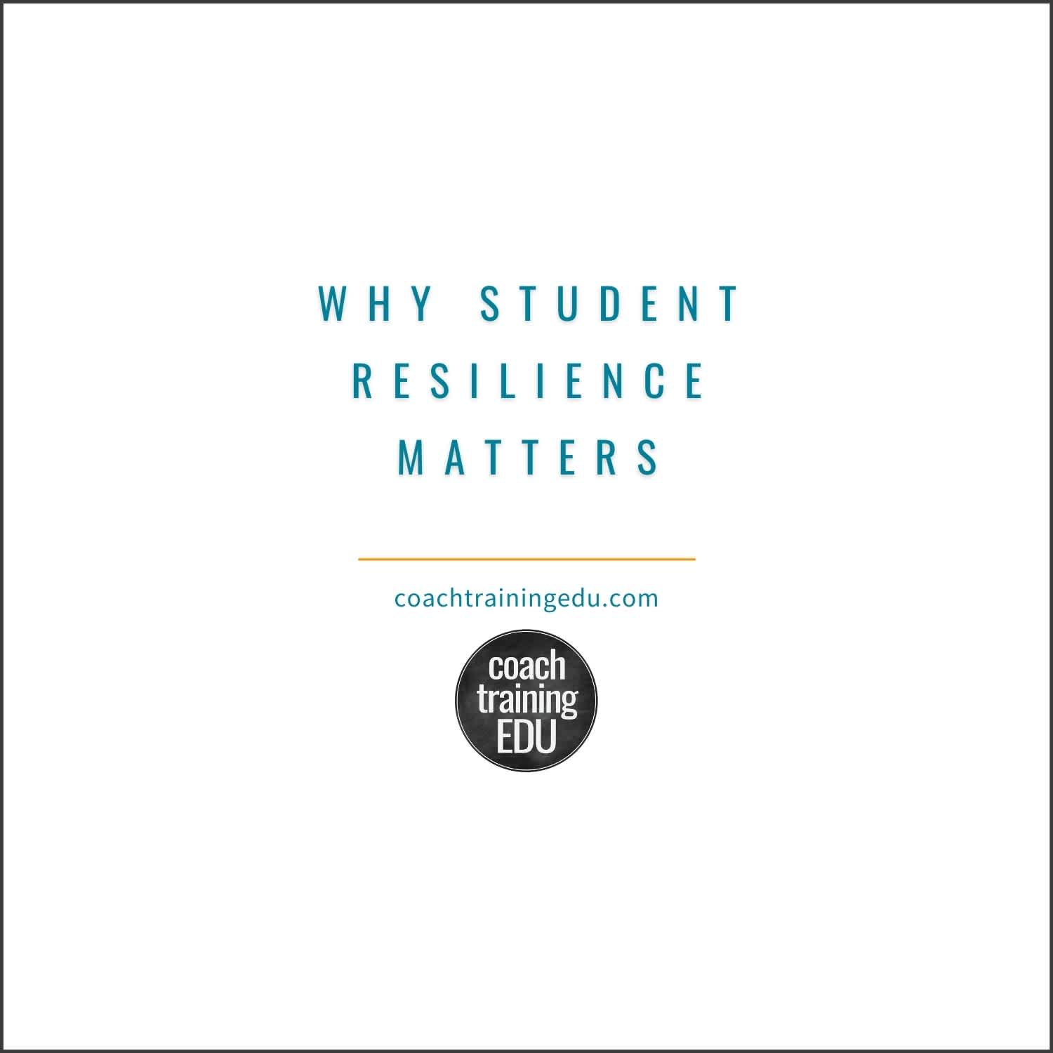 Why Student Resilience Matters (3)