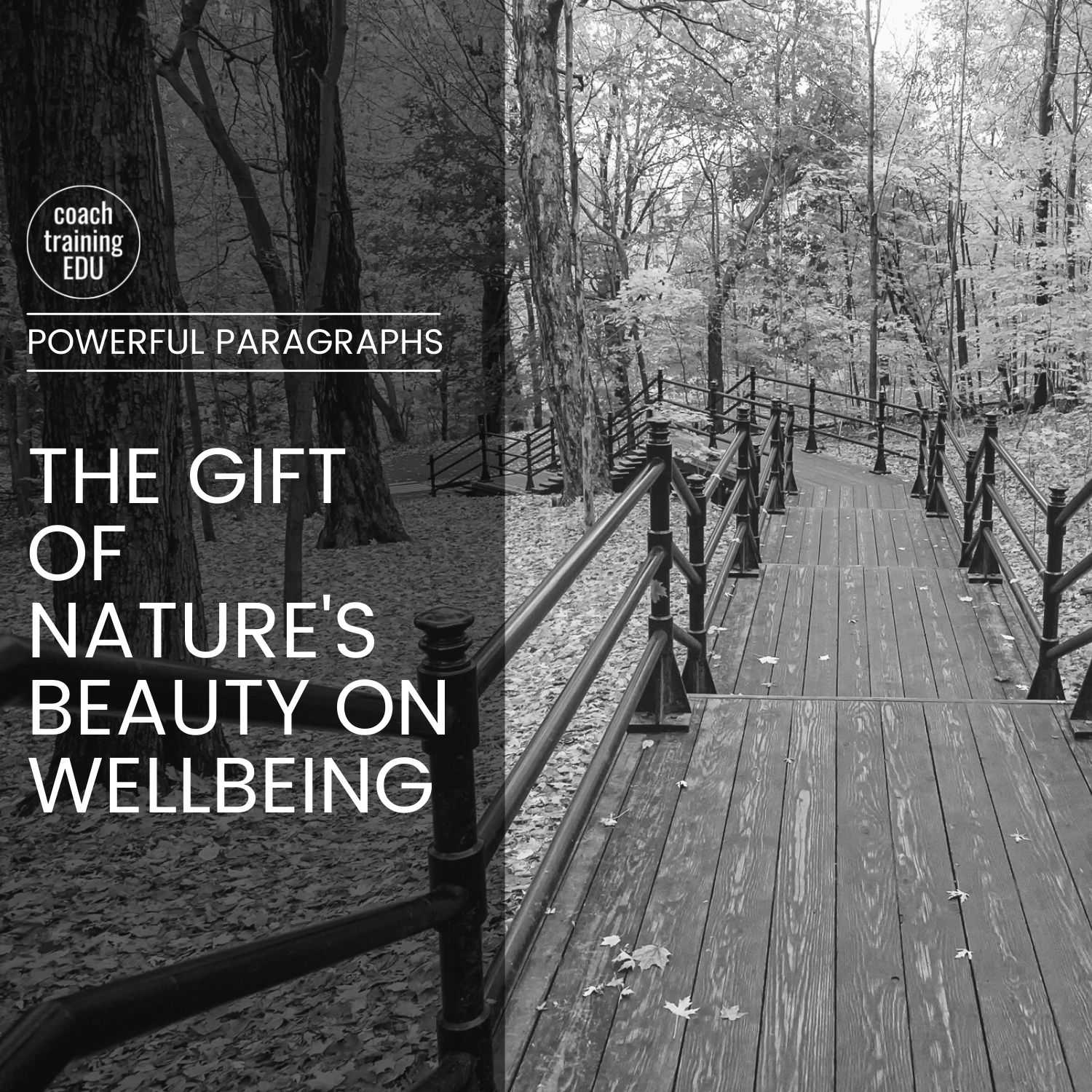 The Gift of Nature's Beauty on Wellbeing