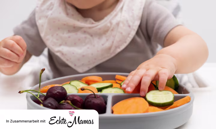 Was ist Baby Led Weaning?