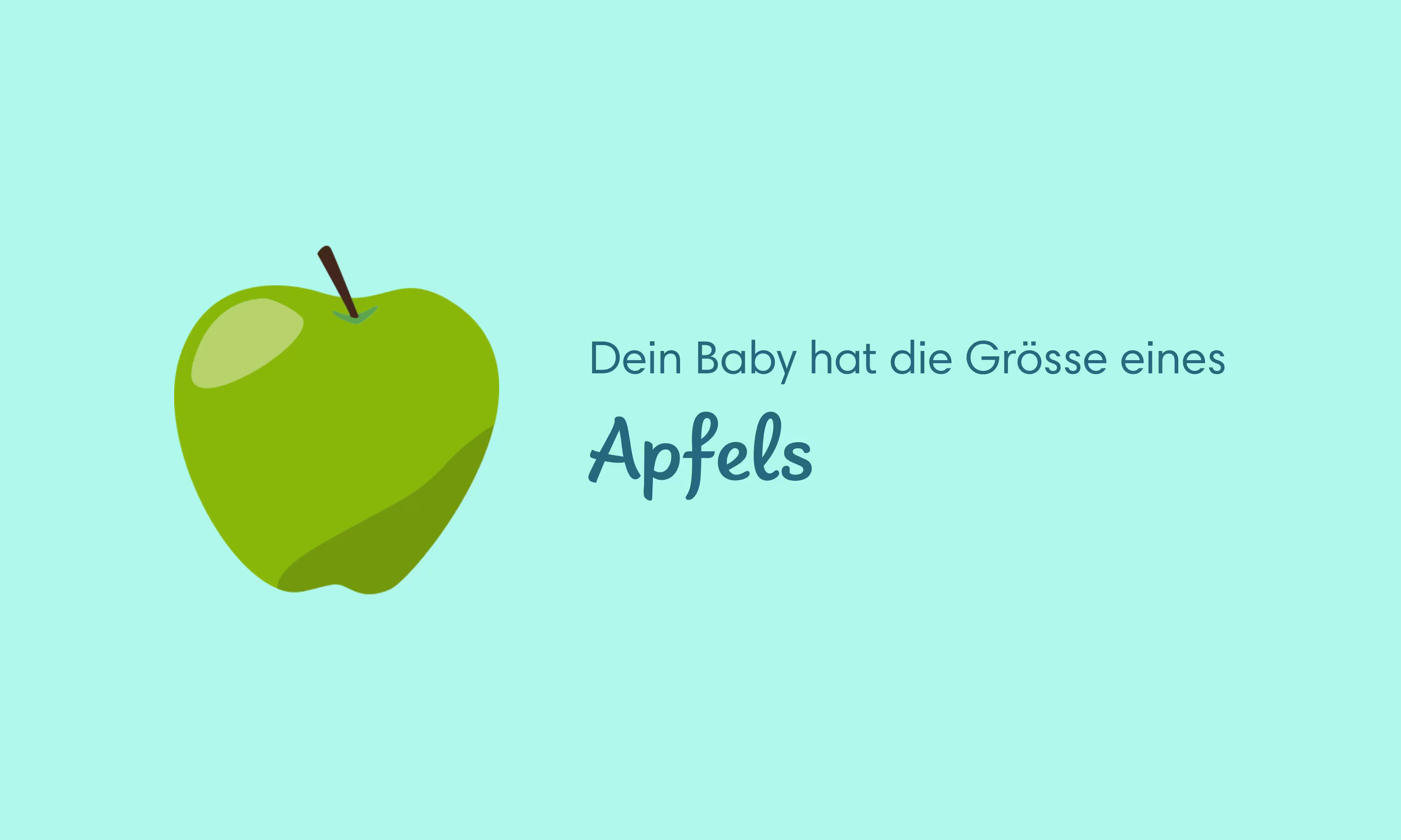 Wochen schwanger 16