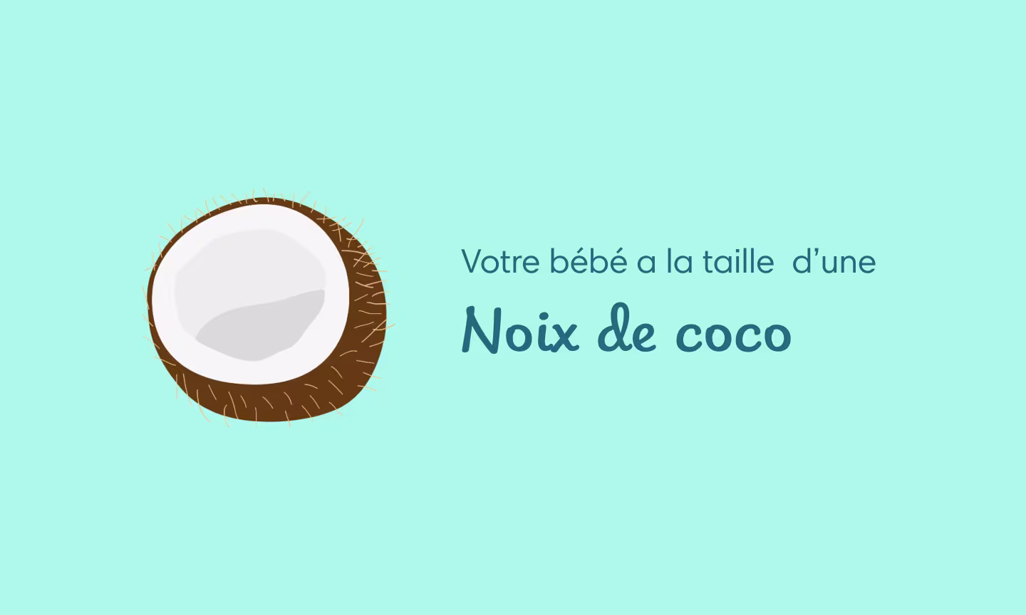 Illustration grossesse semaine 31 – bébé se retourne et les mouvements sont très perceptibles