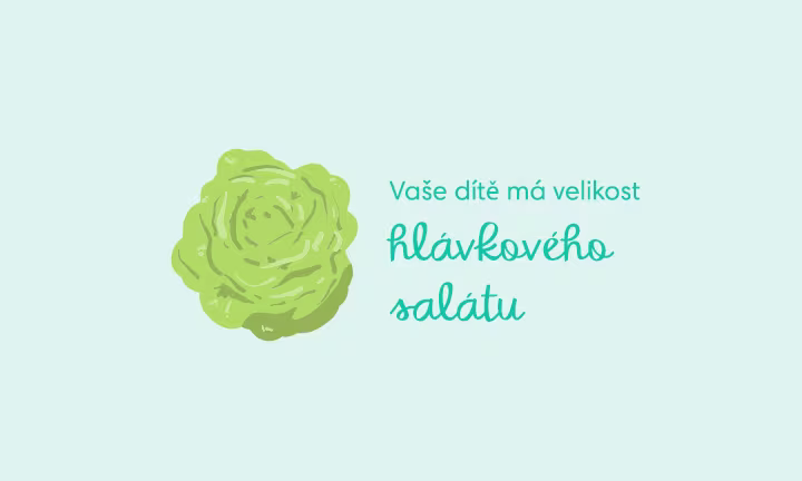 pregnancy-week-by-week-week-28