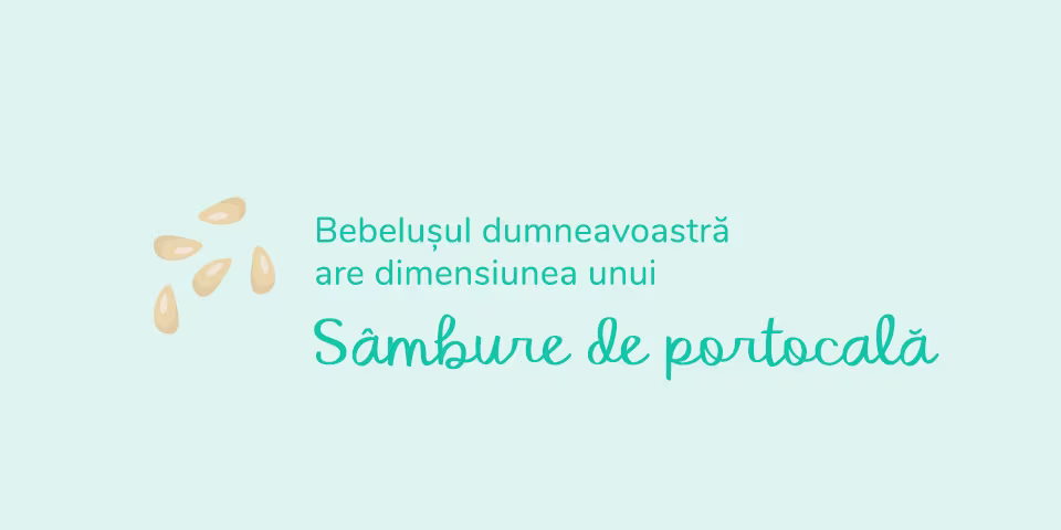 Ilustrație cu sâmburi de portocală – Bebelușul dumneavoastră are dimensiunea unui sâmbure de portocală