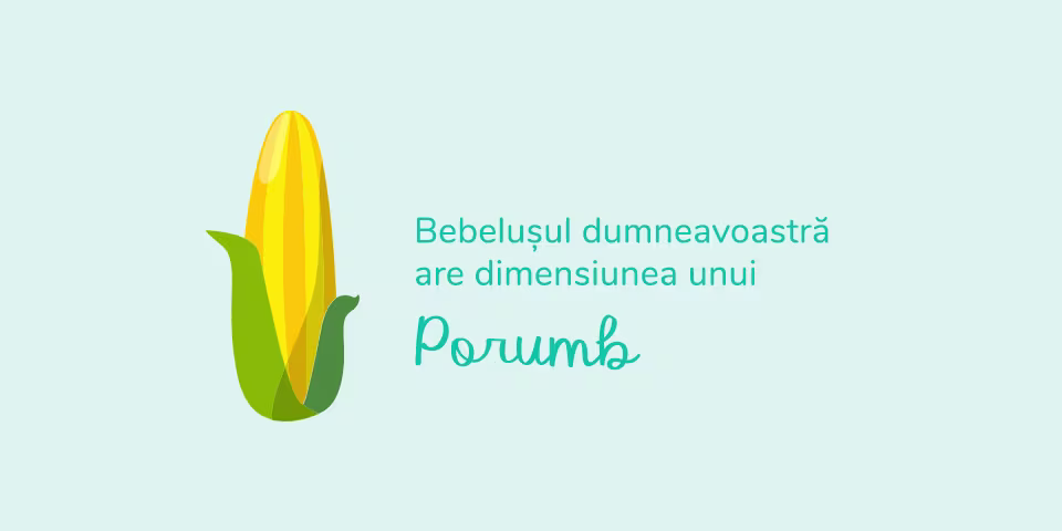 Ilustrație cu un porumb – Bebelușul dumneavoastră are dimensiunea unui porumb