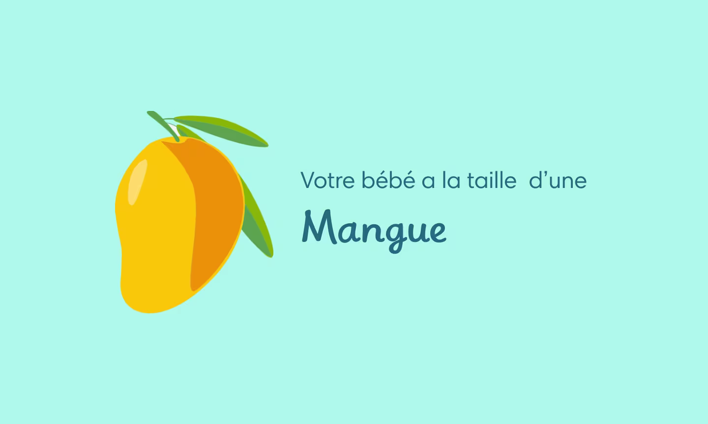 Illustration grossesse semaine 19 – bébé recouvert de vernix et développement sensoriel actif