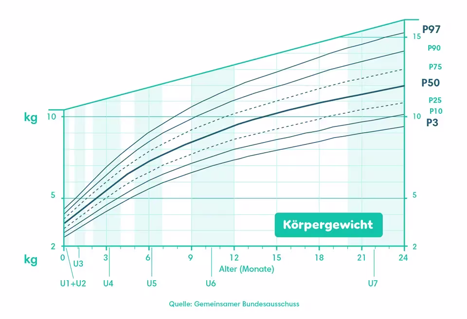 Wachstumskurve mit Gewicht-Perzentilen (P3–P97) für Kinder im Alter von 0–24 Monaten mit den Vorsorgeuntersuchungen (U1–U7)