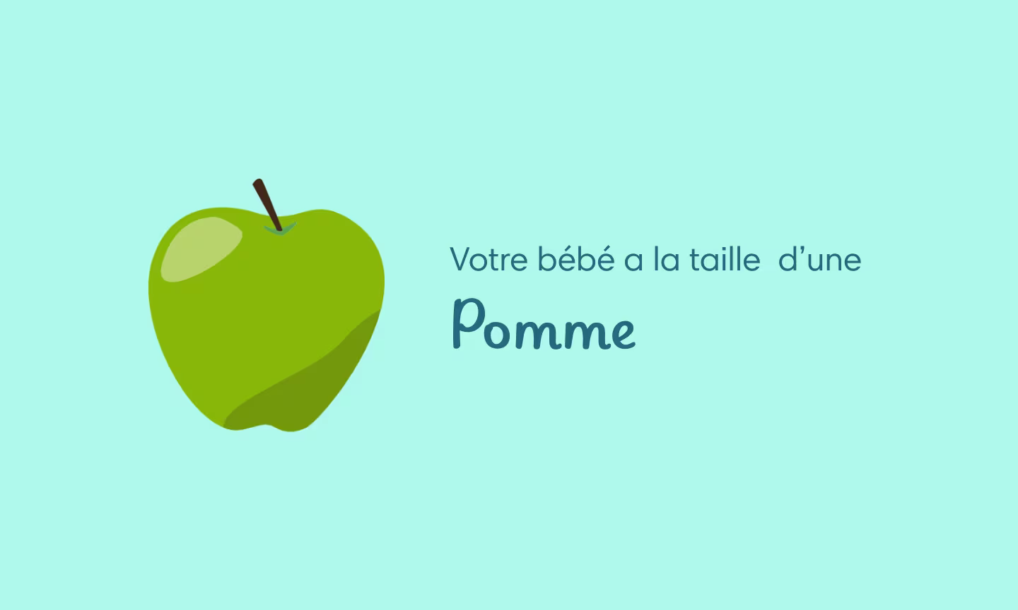 Illustration grossesse semaine 16 – bébé entend les voix et formation du visage en cours