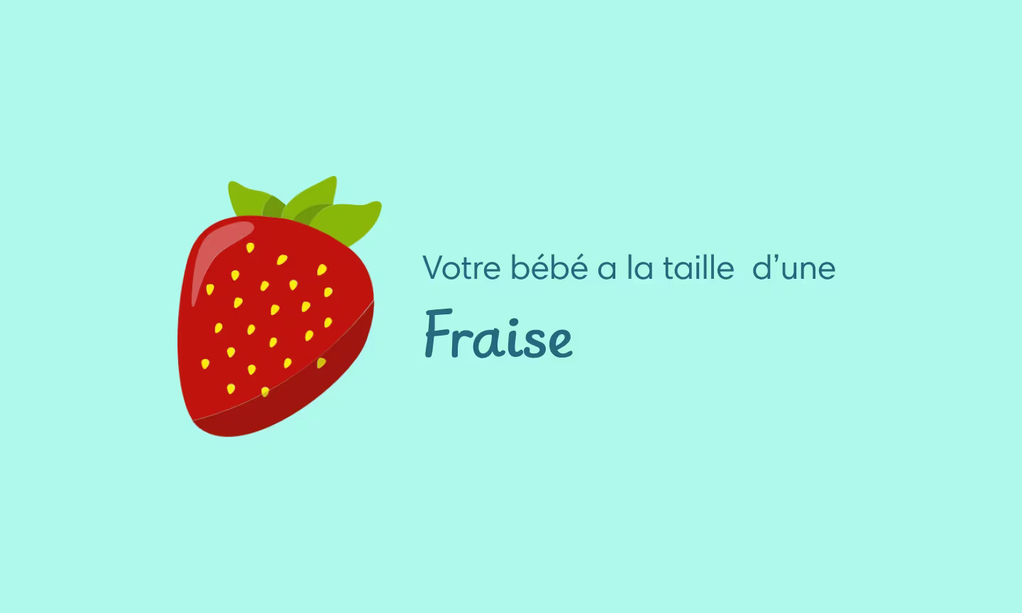 Illustration grossesse semaine 10 – formation des doigts et des orteils du fœtus en cours