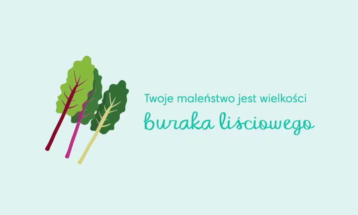 Porównanie wielkości dziecka w 37. tygodniu ciąży - Twoje dziecko jest mniej więcej wielkości boćwiny.
