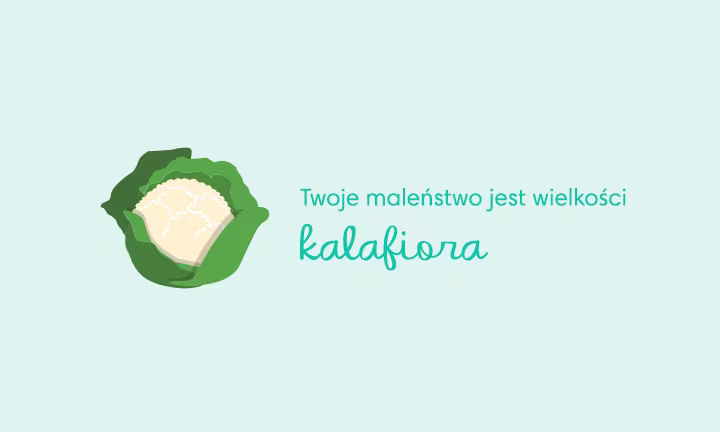 Porównanie wielkości dziecka w 27. tygodniu ciąży - Twoje dziecko ma wielkość kalafiora