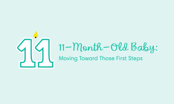 Baby developmental milestones at 11 month