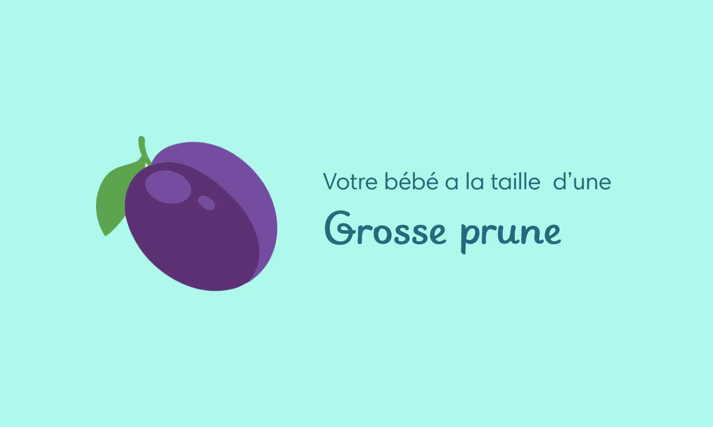 Illustration grossesse semaine 13 – début du deuxième trimestre et diminution des nausées matinales