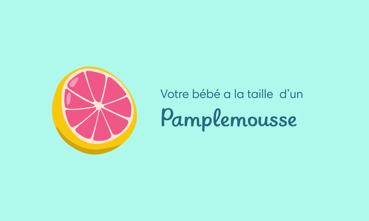 Illustration grossesse semaine 15 – bébé suce son pouce et la peau devient translucide