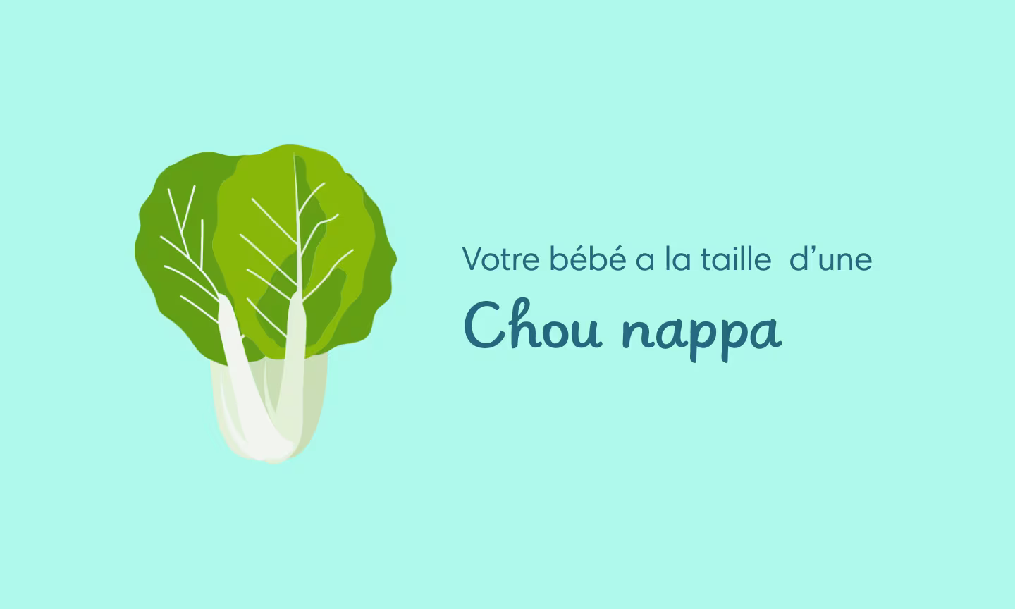 Illustration grossesse semaine 32 – bébé en position fœtale et développement du système immunitaire