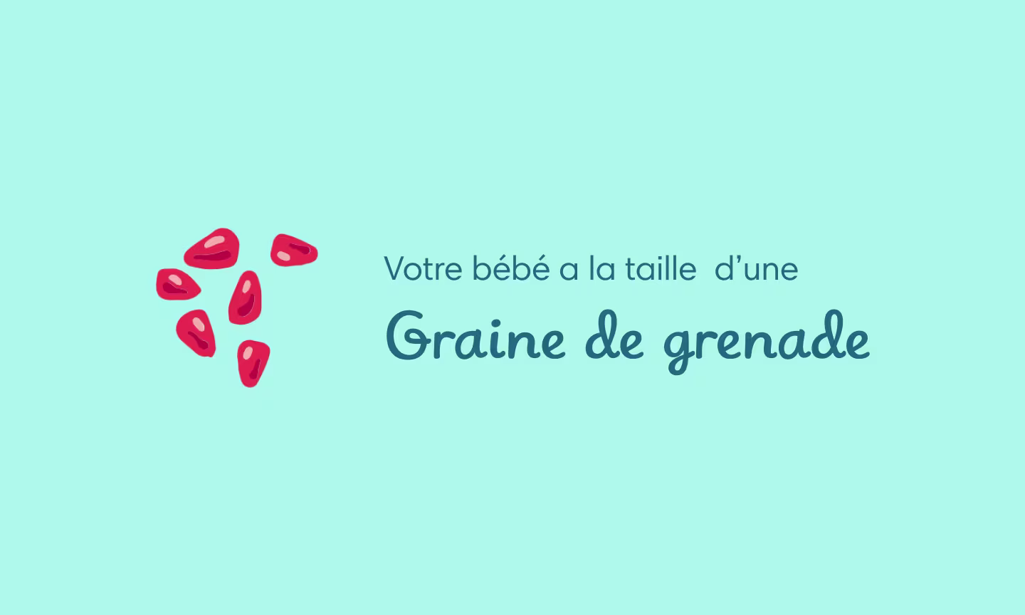 Illustration grossesse semaine 6 – premiers battements de cœur du bébé détectables