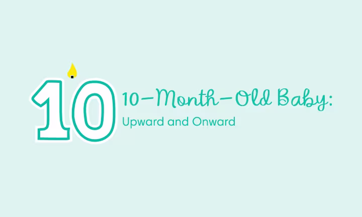 Baby developmental milestones at 10 month