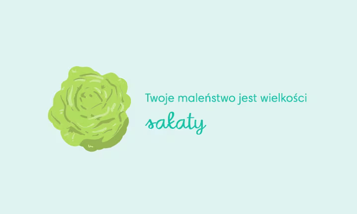 Porównanie wielkości dziecka w 28. tygodniu ciąży - Twoje dziecko ma wielkość sałaty