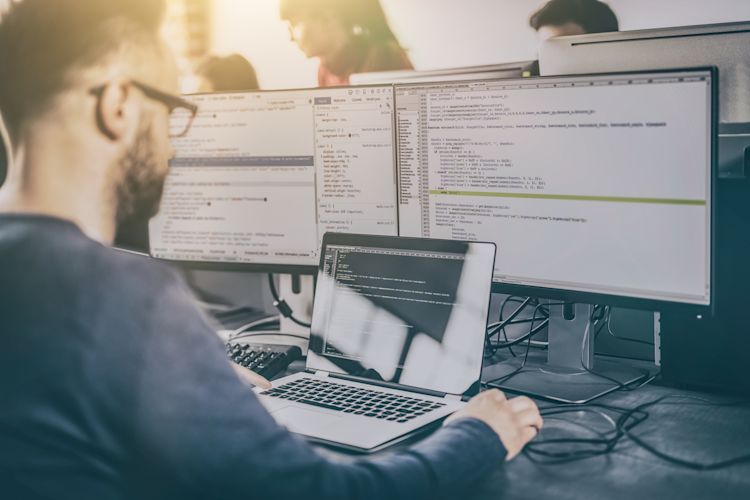 developer working