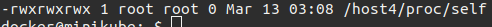 sudo ls -lh /proc/self minikube