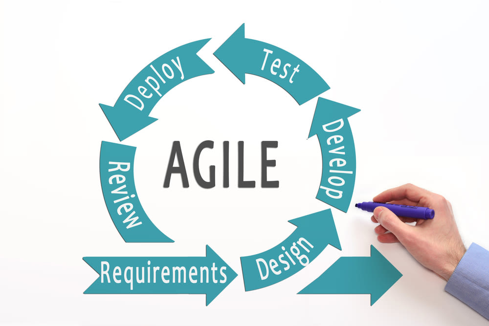 development lifecycle