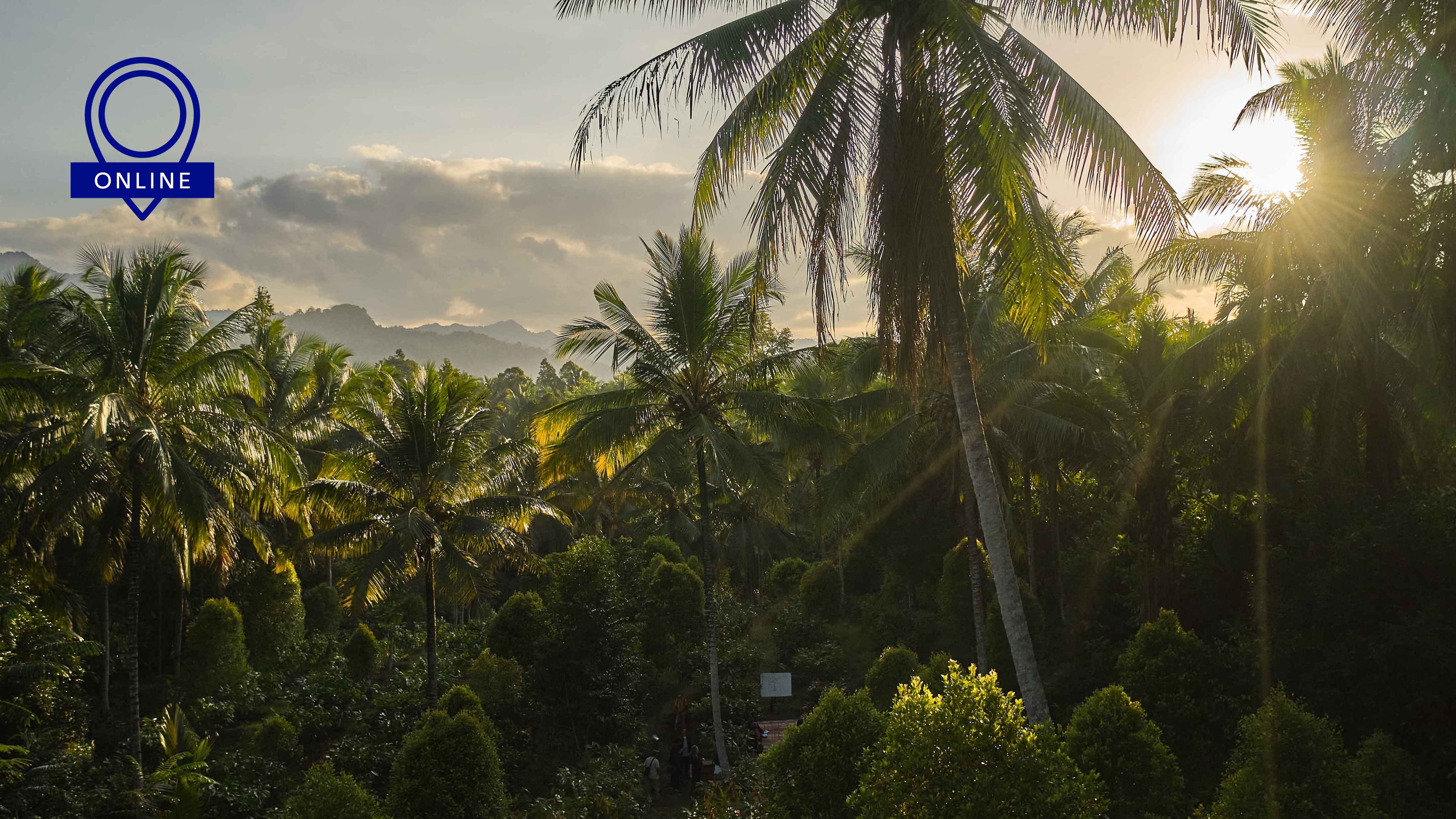 Webinar on Climate Commitments and Opportunities in Cocoa photo