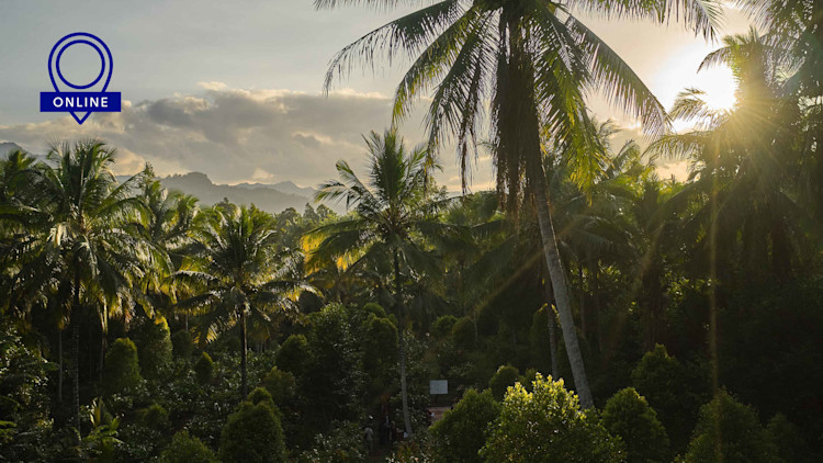 Webinar on Climate Commitments and Opportunities in Cocoa photo